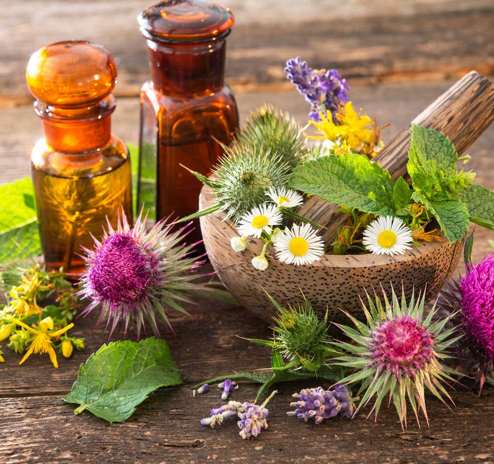 gesundheitspraxis, schmerztherapie, burnout prävention, stressprävention, angsttherapie, chronische schmerzen, chur schweiz, kordulla zoller